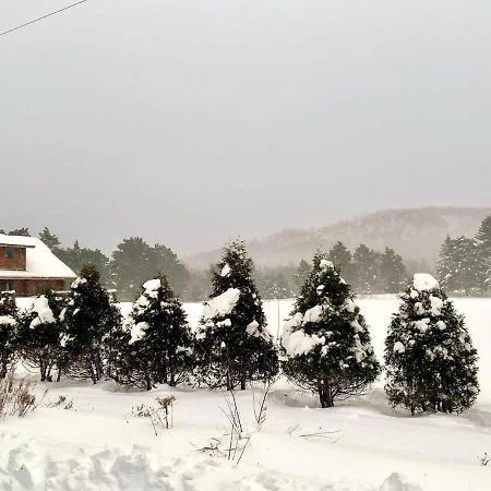 Stunning Log Cabin Getaway At The Hannu Haus آيرونوود المظهر الخارجي الصورة
