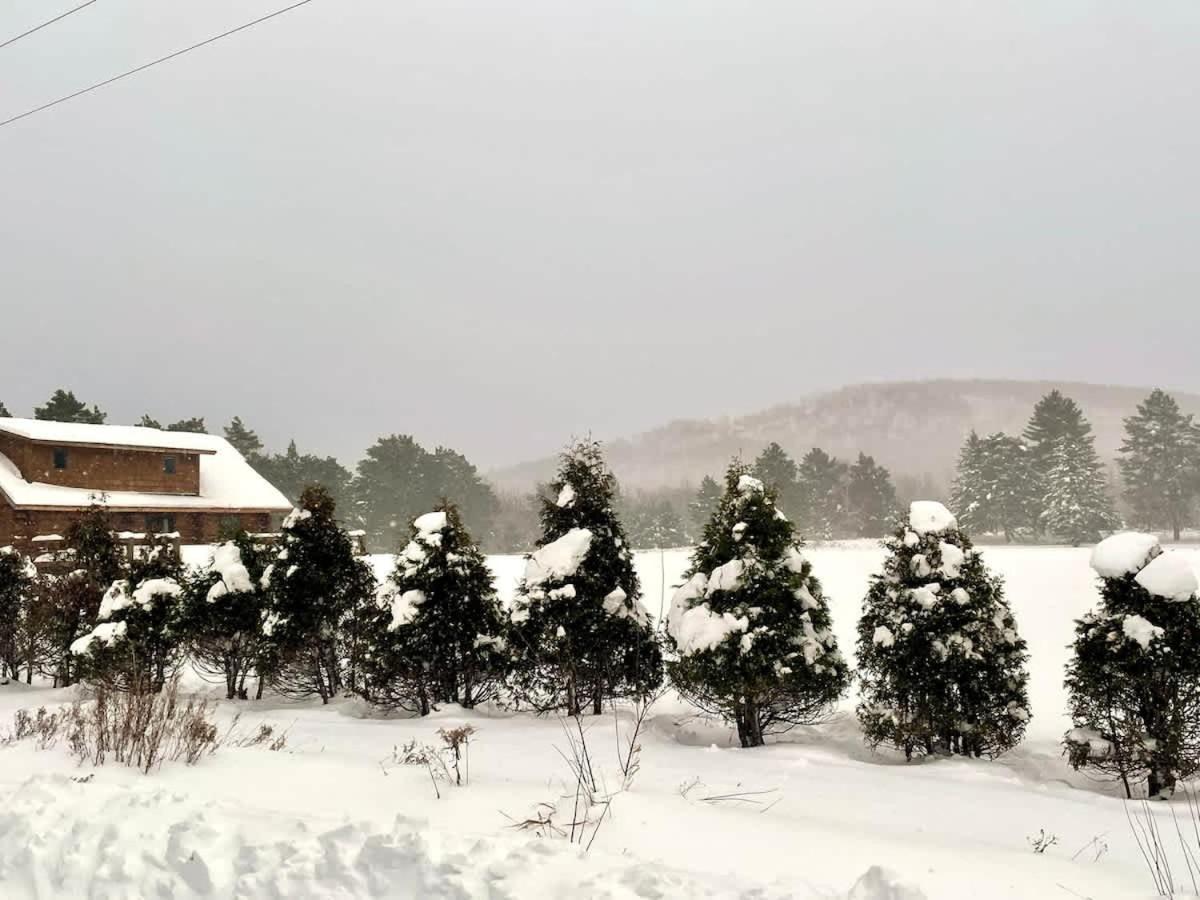 Stunning Log Cabin Getaway At The Hannu Haus آيرونوود المظهر الخارجي الصورة